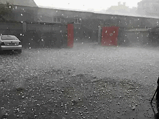 基金最新动向：走访这26家公司