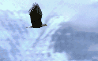 西安(金茂璞逸曲江)商铺→交付时间→五证齐全→动态→物业公司